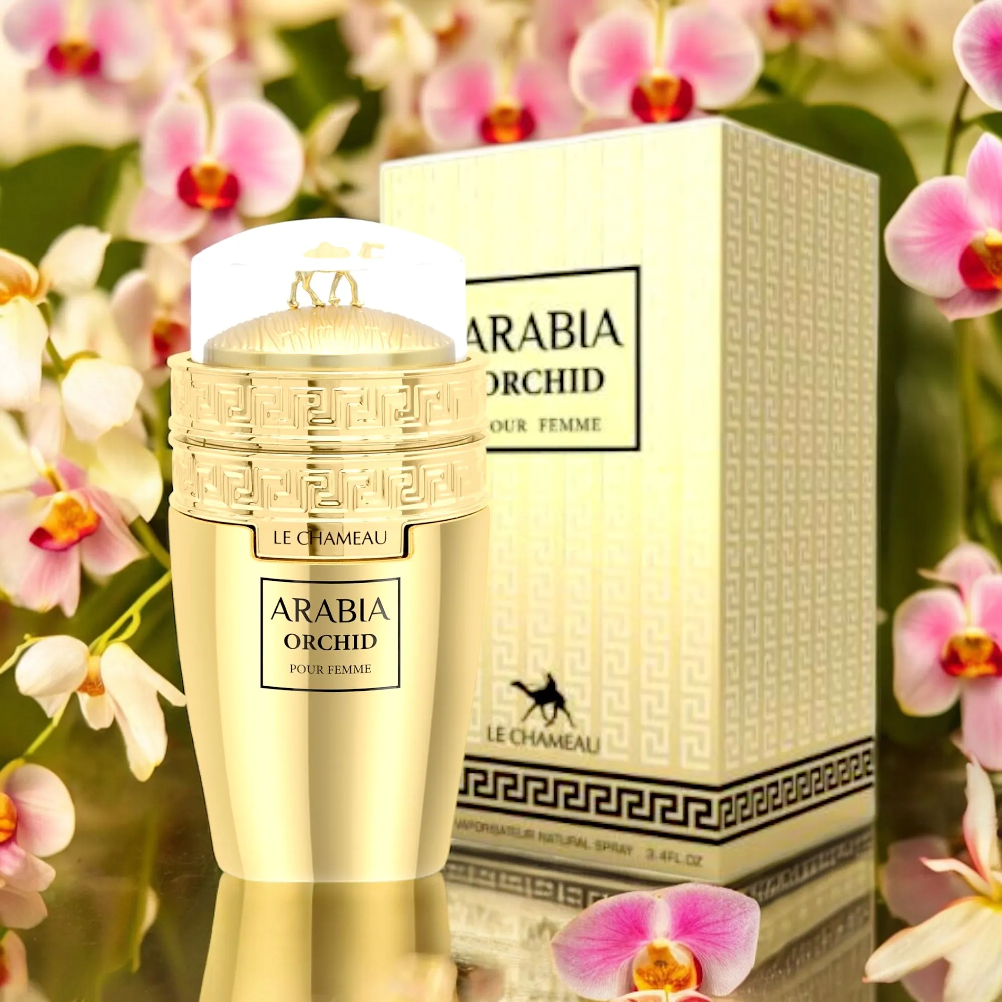 Arabia Orchid By Le Chameau Eau De Parfum 3.4 oz Women