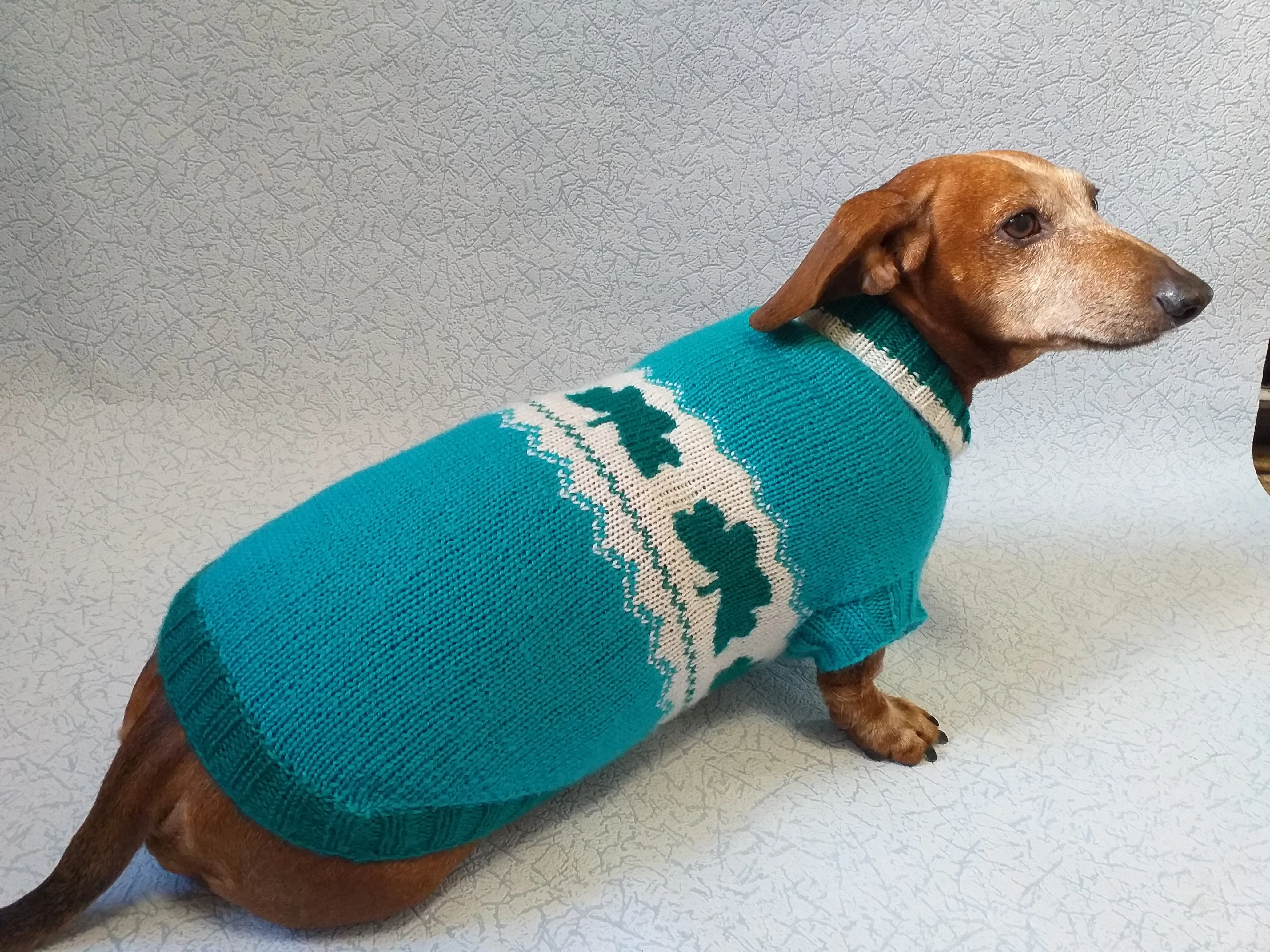 Dachshund clover clothing St. Patrick's Day, dog clover sweater