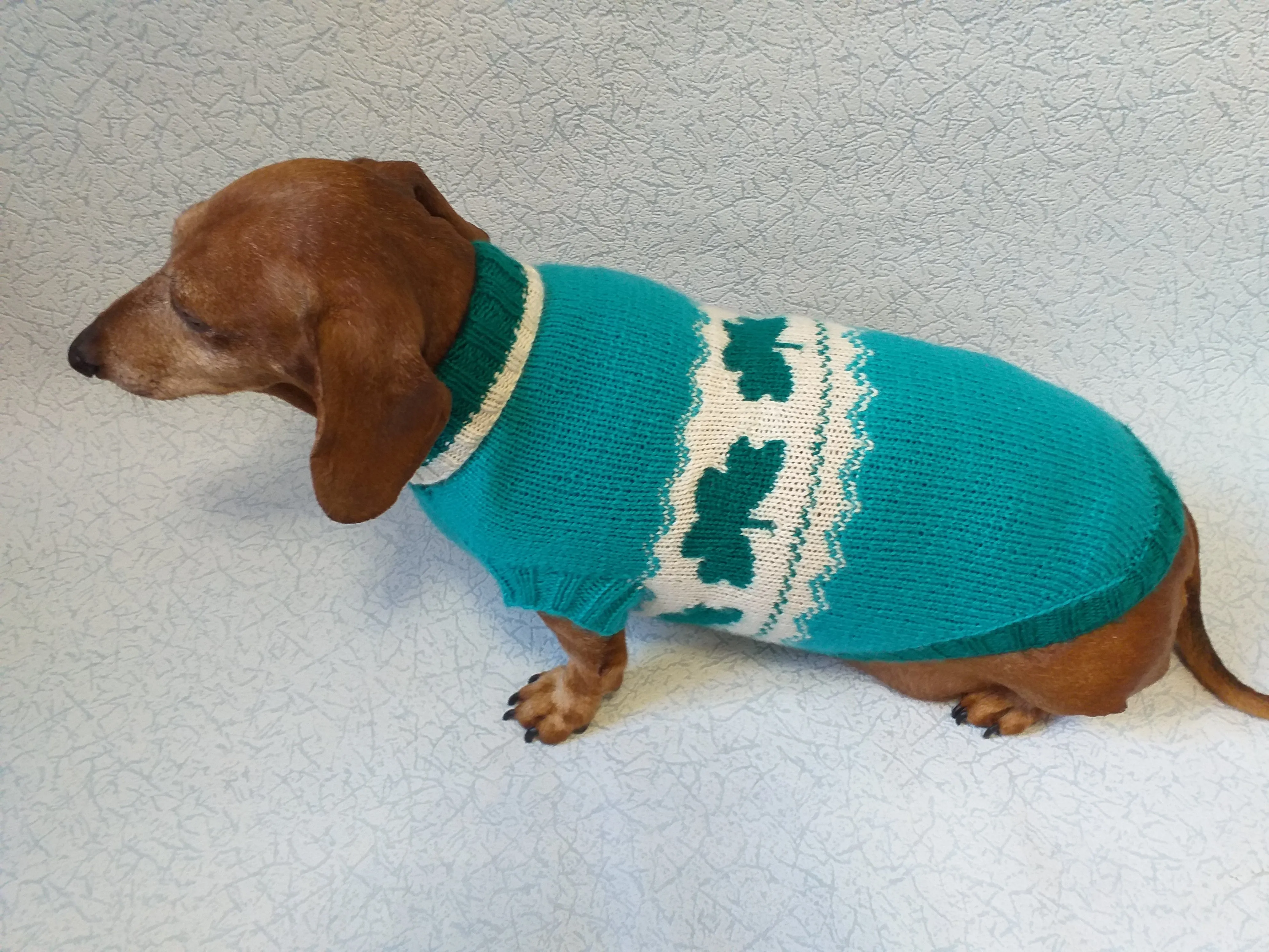 Dachshund clover clothing St. Patrick's Day, dog clover sweater