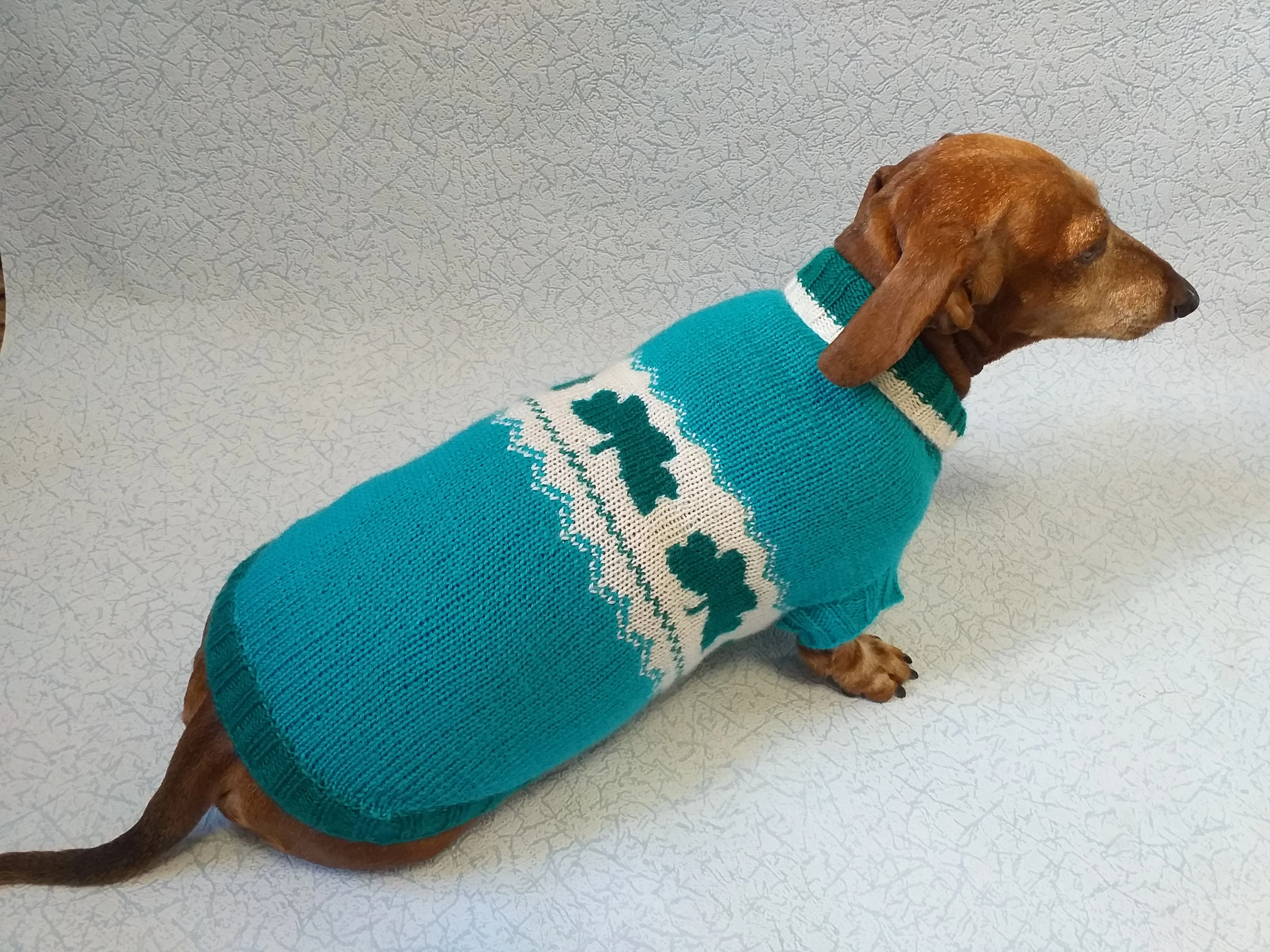 Dachshund clover clothing St. Patrick's Day, dog clover sweater