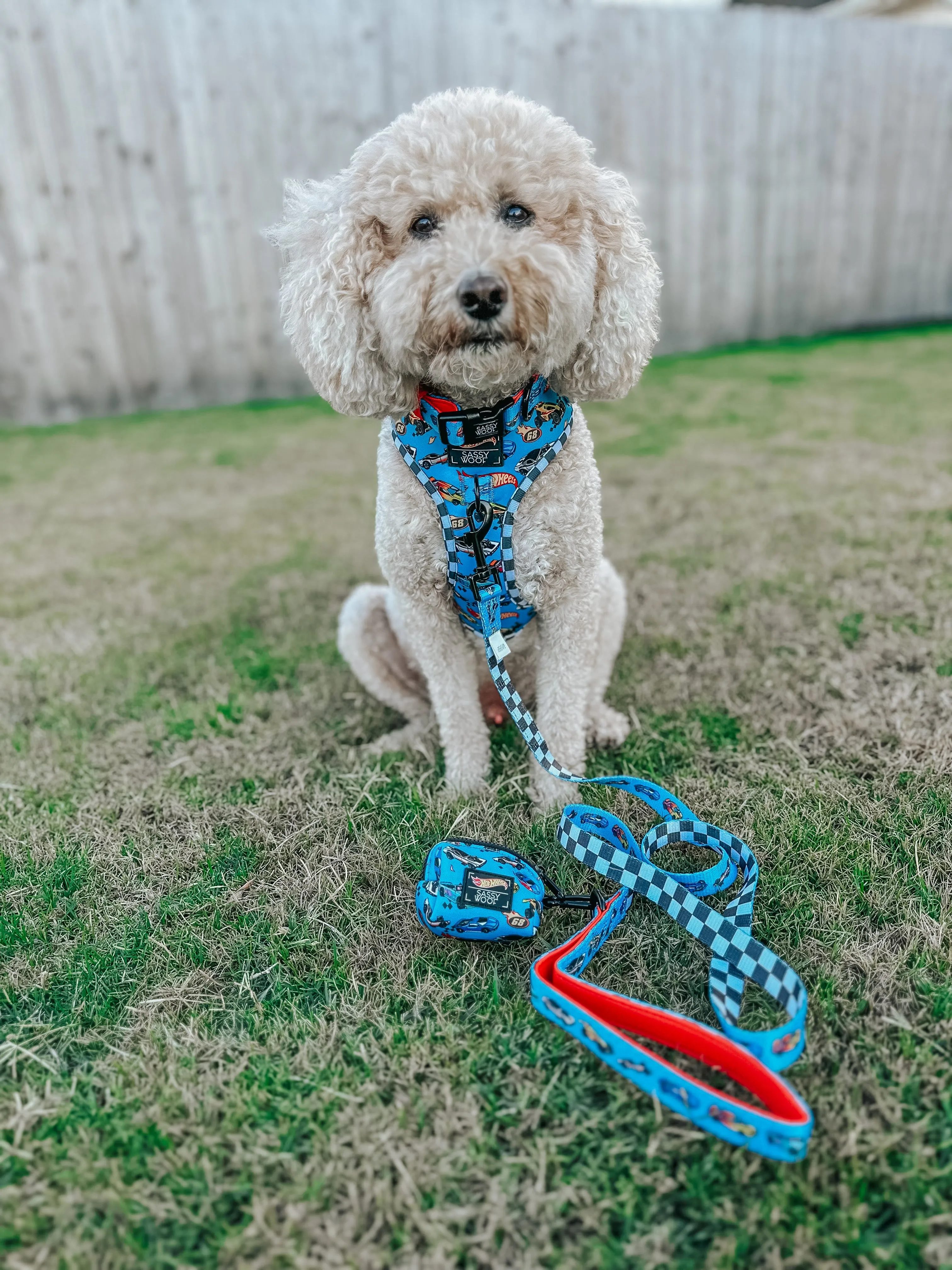 Dog Waste Bag Holder - Hot Wheels™