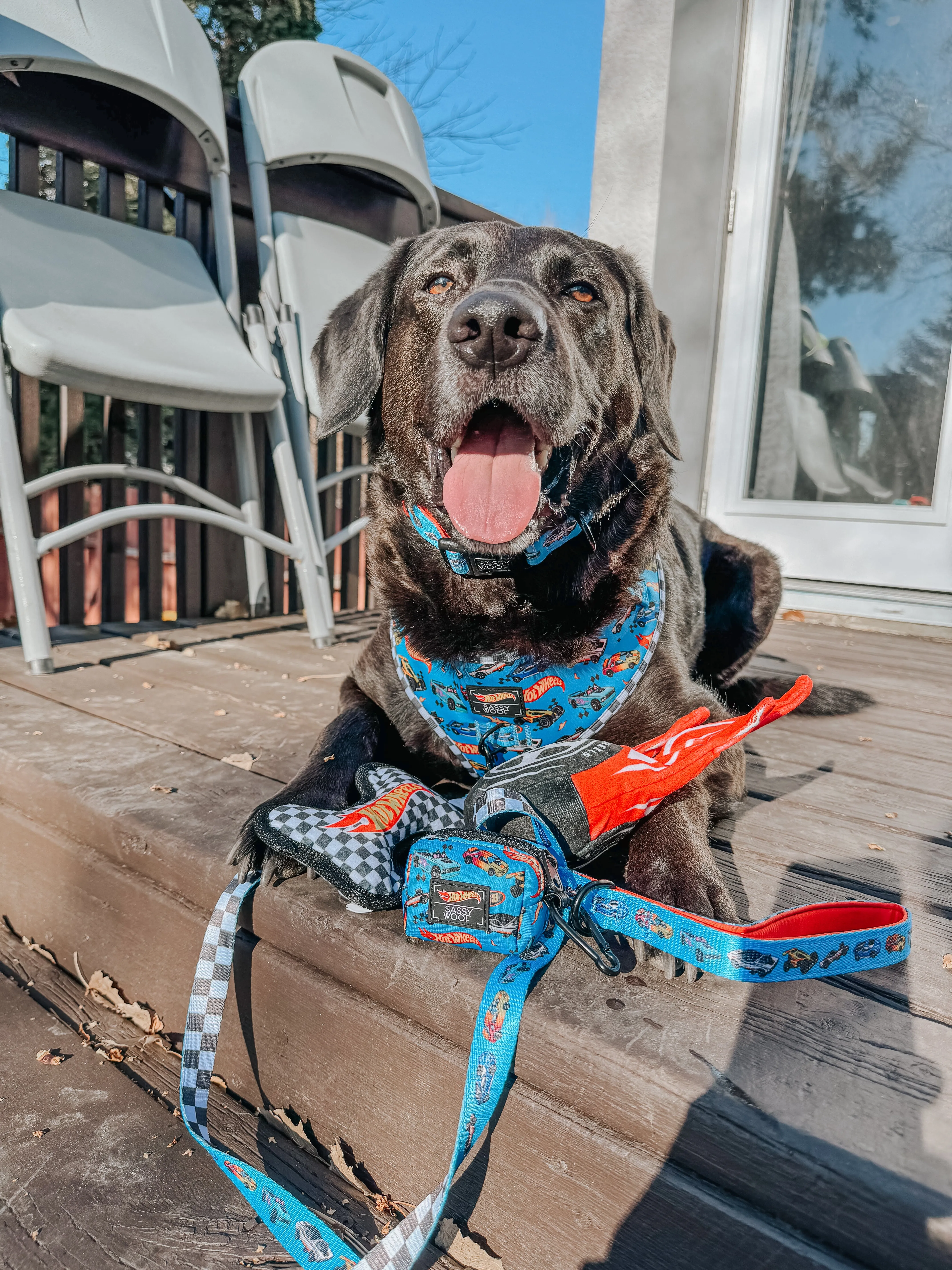 Dog Waste Bag Holder - Hot Wheels™