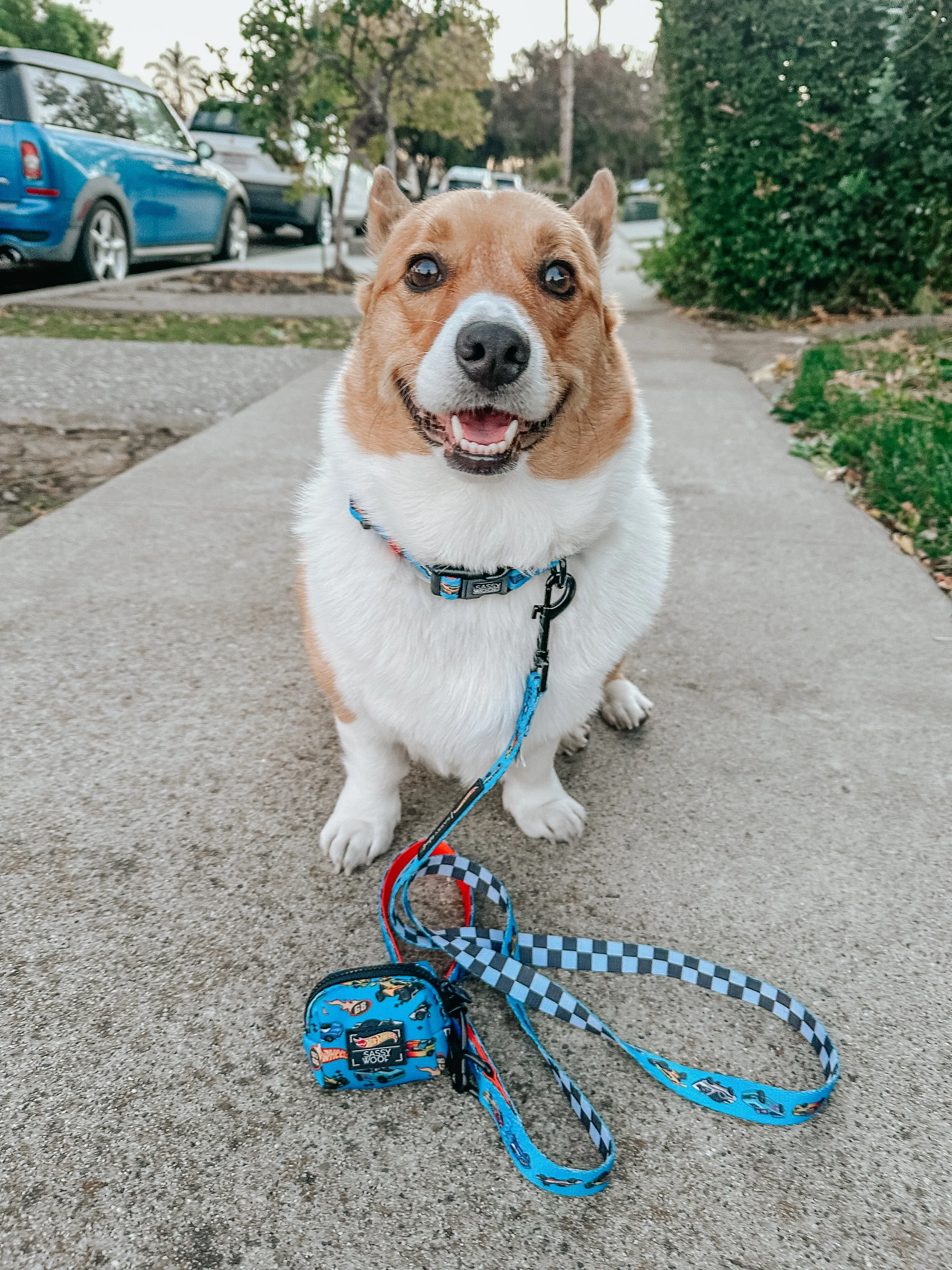 Dog Waste Bag Holder - Hot Wheels™