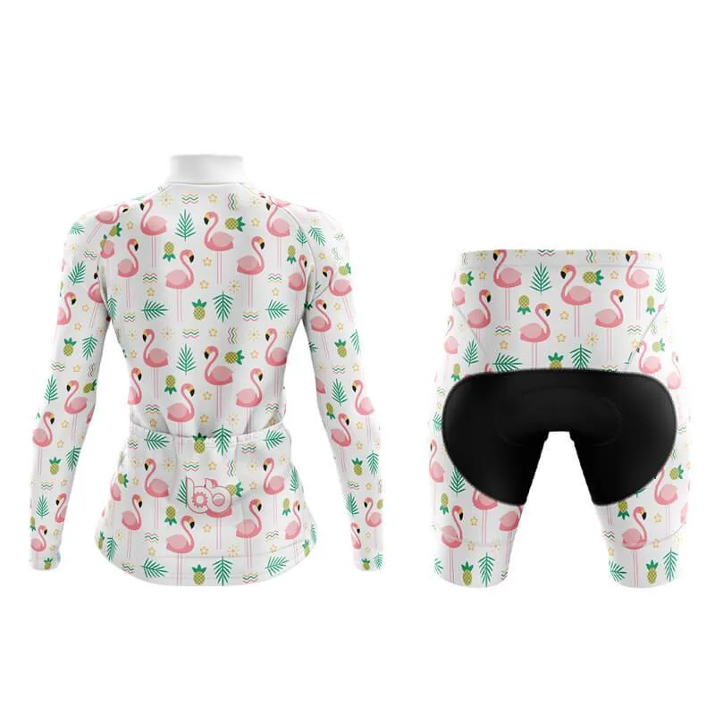 Flamingo New Aero Cycling Kit (V4)