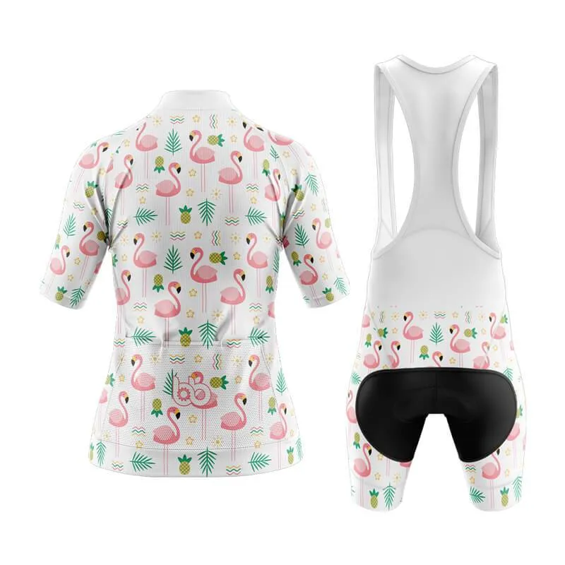 Flamingo New Aero Cycling Kit (V4)