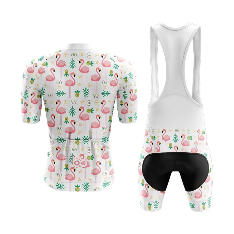 Flamingo New Aero Cycling Kit (V4)