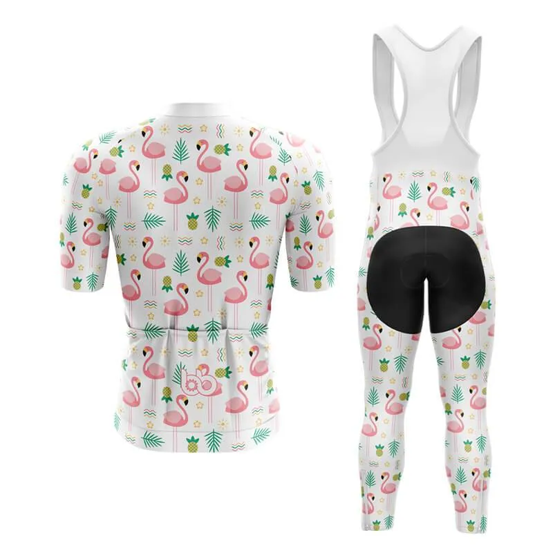 Flamingo New Aero Cycling Kit (V4)