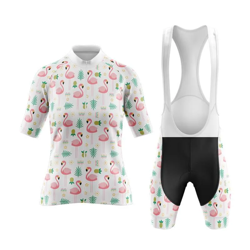 Flamingo New Aero Cycling Kit (V4)