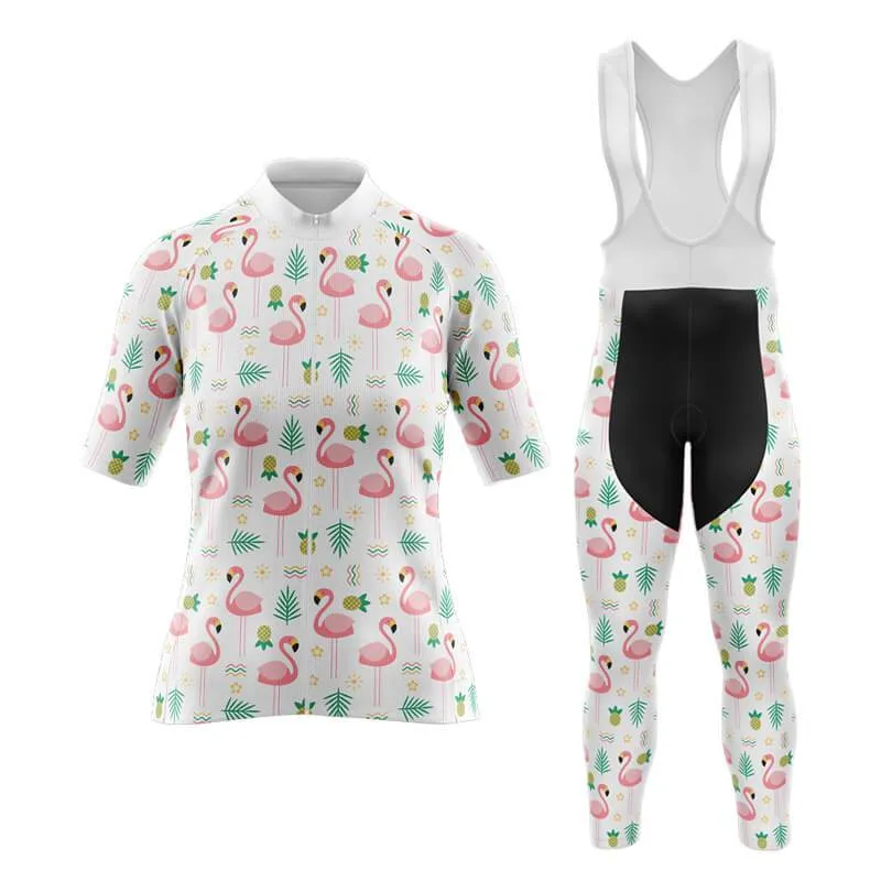 Flamingo New Aero Cycling Kit (V4)