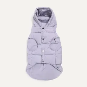 Maxbone - Puffer Dog Jacket