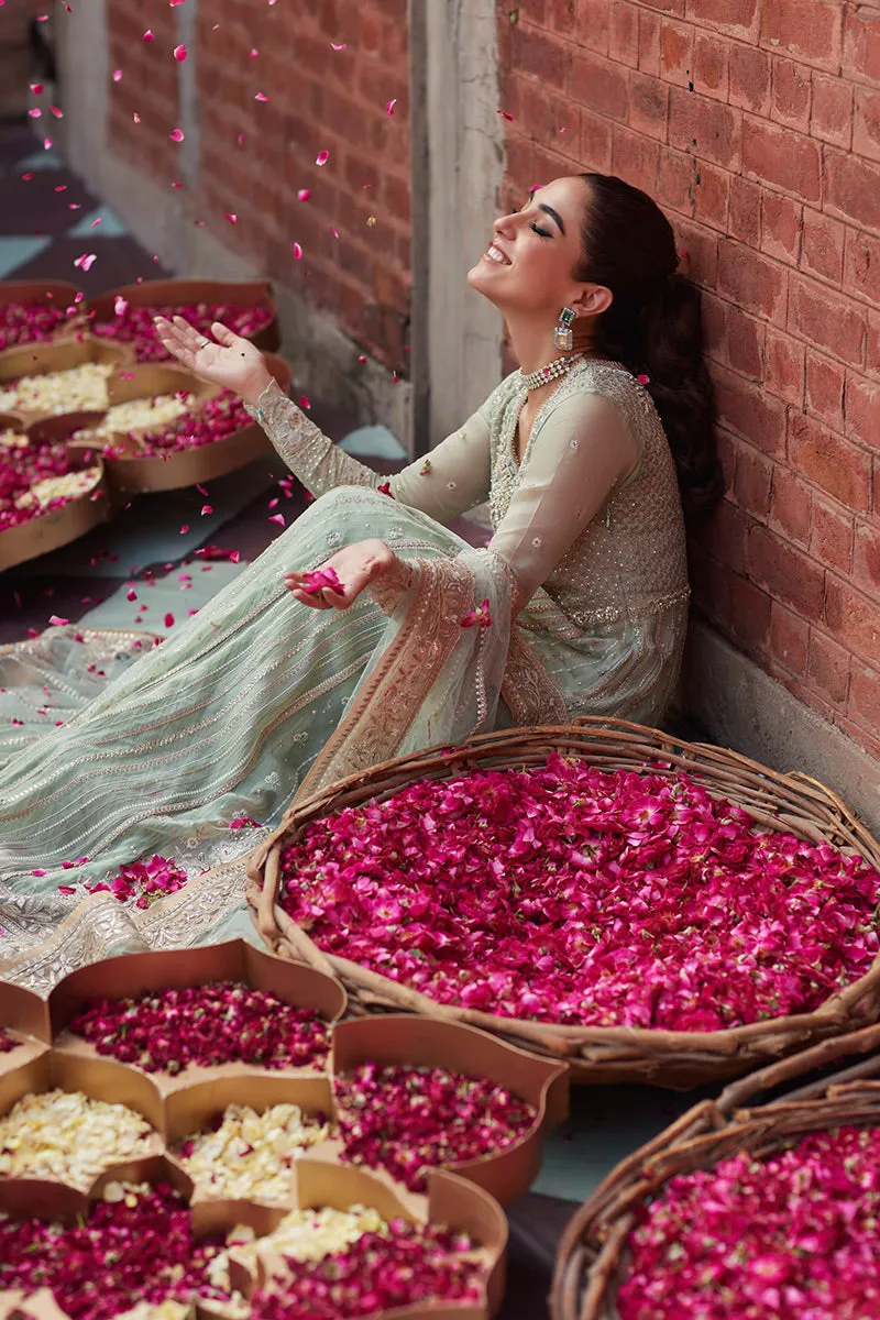 Mushq Izhar Luxury Chiffon Wedding Formals – Shahana