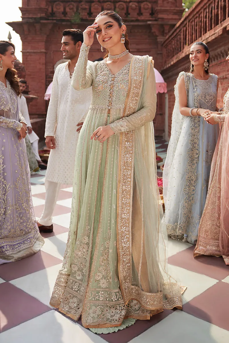 Mushq Izhar Luxury Chiffon Wedding Formals – Shahana